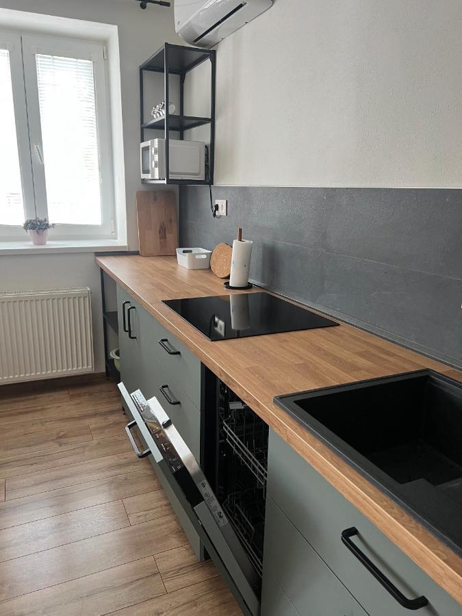 Elegantny Byt V Srdci Mesta Trenčín エクステリア 写真